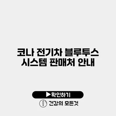 코나 전기차 블루투스 시스템 판매처 안내