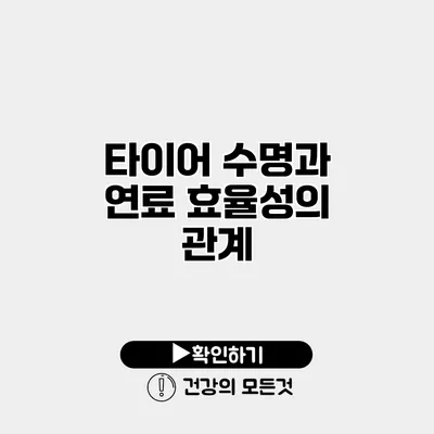 타이어 수명과 연료 효율성의 관계