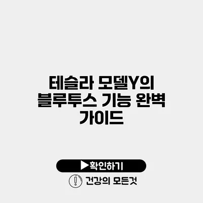 테슬라 모델Y의 블루투스 기능 완벽 가이드