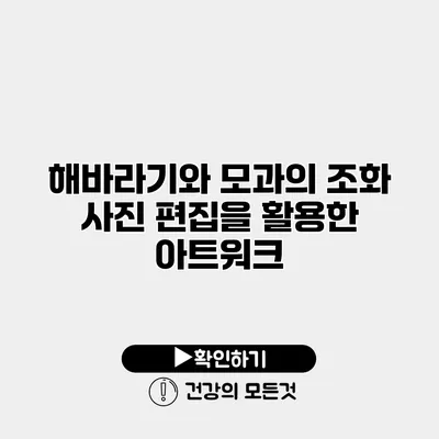 해바라기와 모과의 조화 사진 편집을 활용한 아트워크