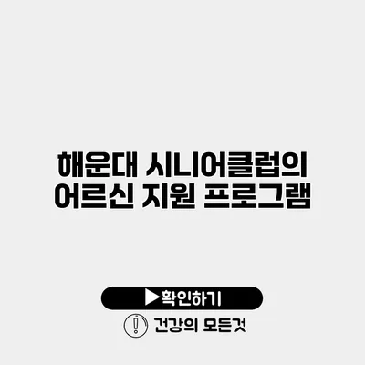 해운대 시니어클럽의 어르신 지원 프로그램